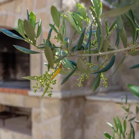 Appartement Zastupac 8761c Hvar Town