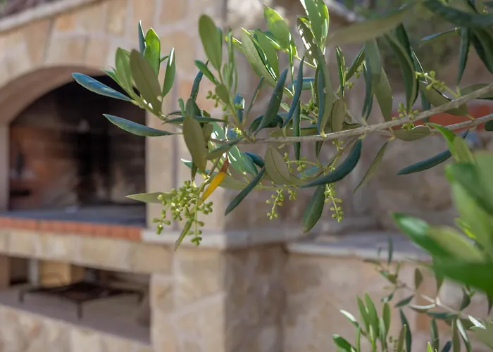 Appartamento Zastupac 8761c Hvar Town