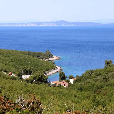 Apartment Zastupac 8761C Hvar Town