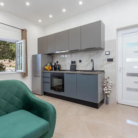 Apartment Zastupac 8761C