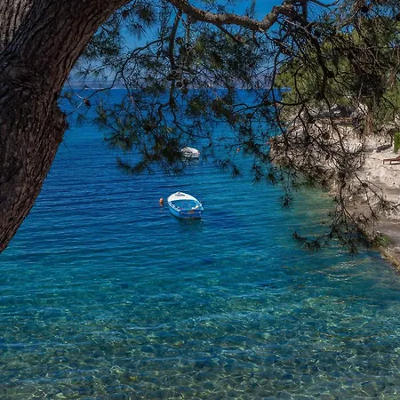 Zastupac 8761c 公寓 *